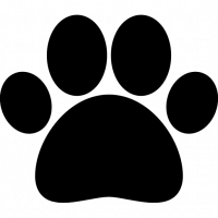 pattoune.png